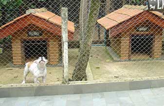 WS Kennel